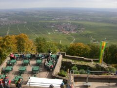 Blick von der Rietburg ins Rheintal