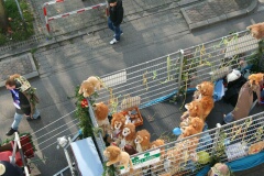 Junge Löwen im Käfig, ein schöne Idee des Mannheimer Karnevalsclubs Die Löwenjäger