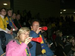 Fans der Rhein-Neckar-Löwen in Aktion